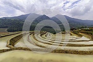 Rice field terraces. Sapa, Lao Cai Province, north-west Vietnam