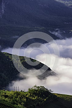 Rice field terraces in Sapa, Lao Cai Province, north-west Vietnam