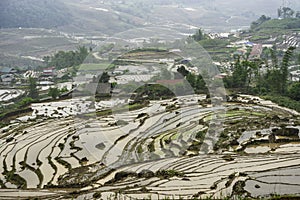 Rice field terraces in Sapa, Lao Cai Province, north-west Vietnam