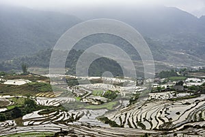 Rice field terraces in Sapa, Lao Cai Province, north-west Vietnam