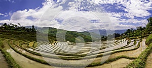 Rice field terraces in Sapa, Lao Cai Province, north-west Vietnam