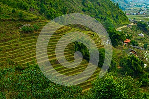 Rice field terraces in Sapa, North Vietnam