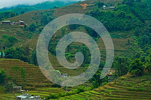 Rice field terraces in Sapa, North Vietnam