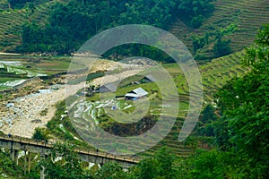 Rice field terraces in Sapa, North Vietnam