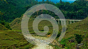 Rice field terraces in Sapa, Vietnam