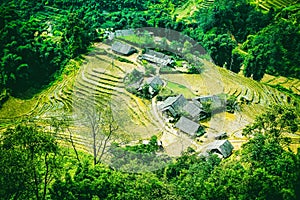 Rice field terraces at Sapa Vietnam.