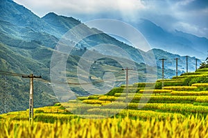 Rice field terraces surrounded by a spectacular bl photo