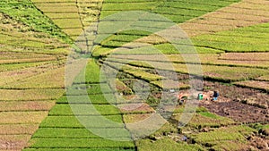 Rice field uniquely shaped