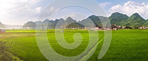 Rice field in valley around with mountain panorama view in Bac Son valley, Lang Son, Vietnam