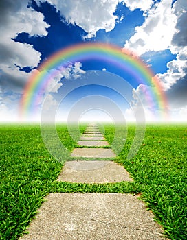 Rice field way on the green grass