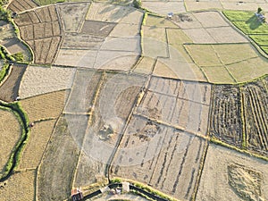 The rice fields are being harvested
