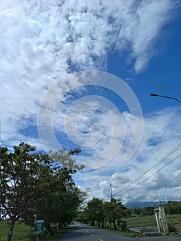 rice fields, clouds, sunny, happy, summer