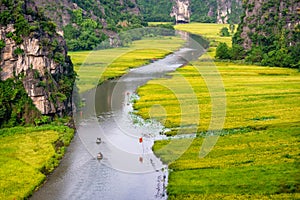 Rice fields in the early morning at Tam Coc, Ninh Binh, Vietnam