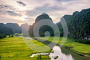 Rice fields in the early morning at Tam Coc, Ninh Binh, Vietnam