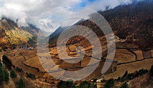 The rice fields in the foothills of Nepal