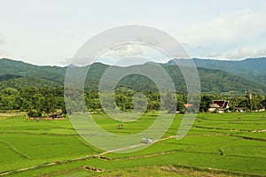Rice fields, mountains, sky soft and blur