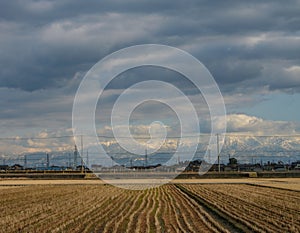 Rice fields and mountains, Toyama, Japan
