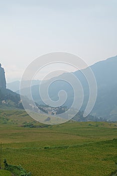 Rice fields in northern China, stunning backdrops d.y