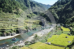 Terraced Rice Fields Northern Luzon the Philippines photo