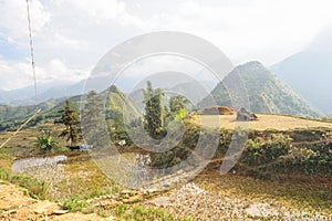 Rice fields on paddy mountain sapa, Vietnam.