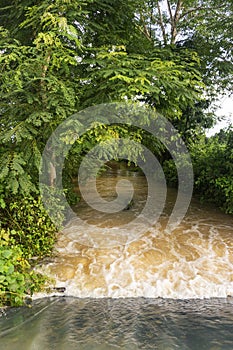 Rice fields rice paddyÃ¢â¬â¢s damaged by heavy rain and flooding causing damage and crop loss