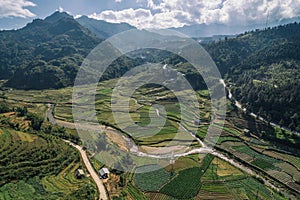 Rice Fields, rice terrace Paddy in Sa Pa Lao Cai Vietnam Asia Aerial Drone Photo