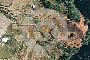 Rice Fields, rice terrace Paddy in Sa Pa Lao Cai Vietnam Asia Aerial Drone Photo