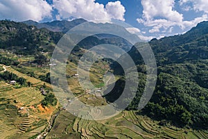 Rice Fields, rice terrace Paddy in Sa Pa Lao Cai Vietnam Asia Aerial Drone Photo