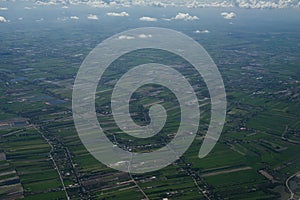 Rice fields shot from high angle