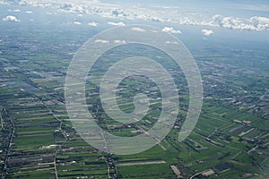 Rice fields shot from high angle