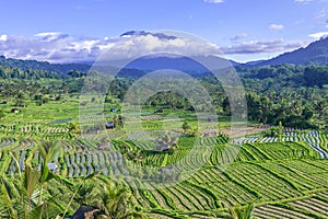 Rice fields in Sidemen valley with Mount Agung in the background, Bali, Indonesia