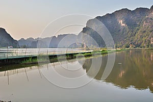 Rice fields. Tam Coc. Ninh Binh. Vietnam