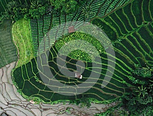 Rice Fields Terasering in Rancakalong Sumedang West Java