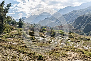 Rice Fields, rice terrace Paddy in Sa Pa Lao Cai Vietnam in Asia photo