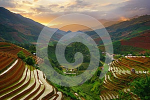 Rice fields on terrace in rainy season at Mu Cang Chai, Yen Bai, Vietnam.