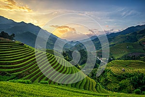 Rice fields on terrace photo