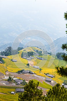 Rice fields on terraced. Fields are prepared for planting rice. Ban Phung. Ha Giang. Huyen Hoang Su Phi. Northern Vietnam