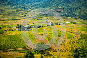 Rice fields on terraced. Fields are prepared for planting rice. Lim Mong, Huyen Mu Chang Chai, Northen Vietnam.