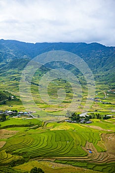 Rice fields on terraced. Fields are prepared for planting rice. Lim Mong, Huyen Mu Chang Chai, Northen Vietnam.