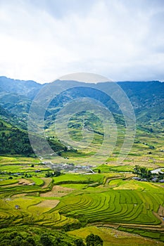 Rice fields on terraced. Fields are prepared for planting rice. Lim Mong, Huyen Mu Chang Chai, Northen Vietnam.