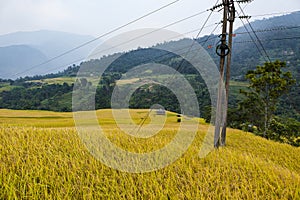 Rice fields on terraced. Fields are prepared for planting rice. Nam Dan, Huyen Xin Man, Ha Giang Province. Northern Vietnam