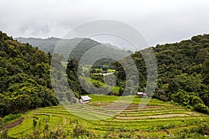 Rice fields on terraced of  Mae Chaem, Chiang Mai, Thailand