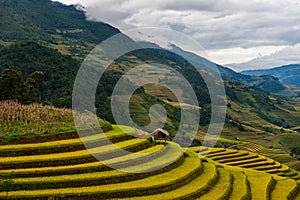 Rice fields on terraced of Mu Cang Chai, YenBai.