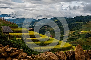 Rice fields on terraced of Mu Cang Chai, YenBai.