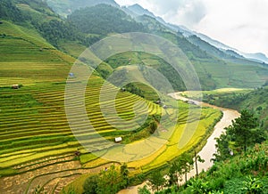 Rice fields on terraced of Mu Cang Chai, YenBai, Rice fields prepare the harvest at Northwest Vietnam. Vietnam landscapes. photo