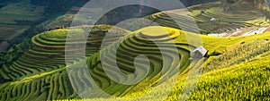 Rice fields on terraced of Mu Cang Chai, YenBai, Vietnam. photo