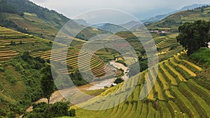 Rice fields on terraced of Mu Cang Chai, YenBai, Vietnam. photo