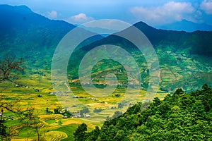 Rice fields on terraced of Mu Cang Chai, YenBai, Vietnam. Rice fields prepare the harvest at Northwest Vietnam. Vietnam landscapes