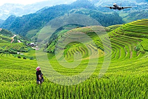 Rice fields on terraced of Mu Cang Chai, YenBai photo