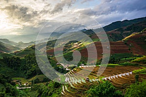 Rice fields on terraced in rainny season at Mu Cang Chai, Yen Bai, Vietnam.